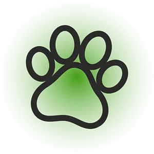 Розстрочка monobank