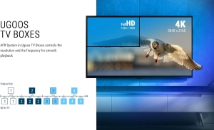 Ugoos SK2 4/32 (RTD1325) Google TV 12.0 Голос. Управління