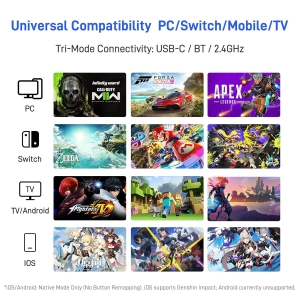 Безпровідний геймпад FLYDIGI APEX 5  Pc/Ns/Android/Tv